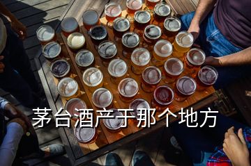 茅臺酒產(chǎn)于那個(gè)地方