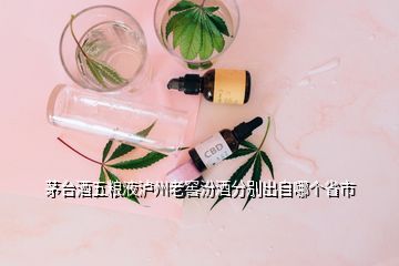 茅臺酒五糧液瀘州老窖汾酒分別出自哪個省市