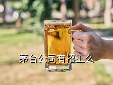 茅臺公司有招工么