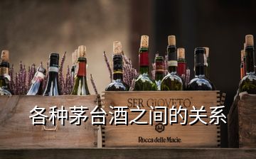 各種茅臺(tái)酒之間的關(guān)系