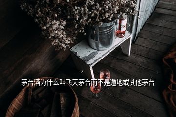 茅臺酒為什么叫飛天茅臺而不是遁地或其他茅臺