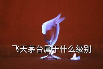 飛天茅臺(tái)屬于什么級別