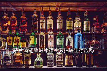 茅臺(tái)酒能放進(jìn)冰箱冷藏抽屜里存放嗎