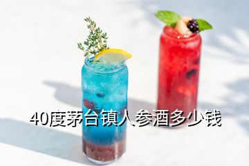 40度茅臺(tái)鎮(zhèn)人參酒多少錢(qián)