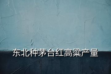 東北種茅臺紅高粱產(chǎn)量