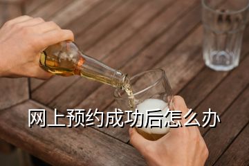 網(wǎng)上預(yù)約成功后怎么辦