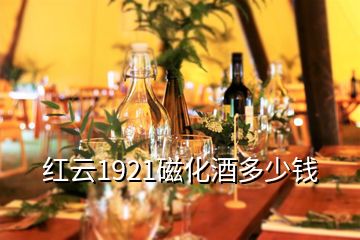 紅云1921磁化酒多少錢