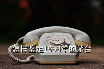 怎樣鑒定1953年的茅臺