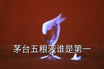 茅臺五糧液誰是第一