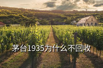 茅臺(tái)1935為什么不回收