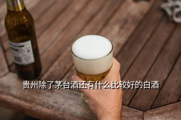 貴州除了茅臺(tái)酒還有什么比較好的白酒