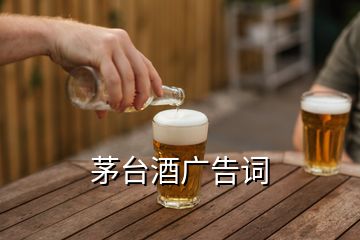 茅臺(tái)酒廣告詞