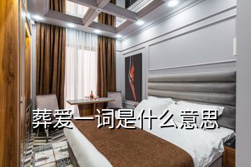 葬愛(ài)一詞是什么意思