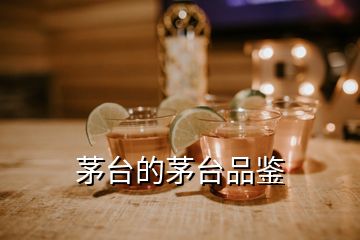 茅臺(tái)的茅臺(tái)品鑒