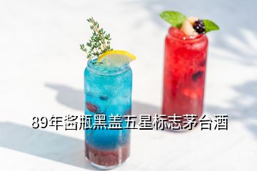 89年醬瓶黑蓋五星標(biāo)志茅臺酒