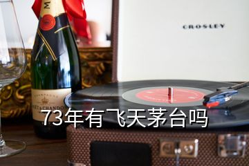 73年有飛天茅臺嗎