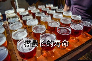 貓最長(zhǎng)的壽命