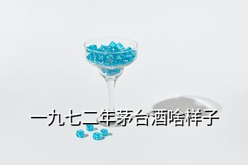 一九七二年茅臺(tái)酒啥樣子