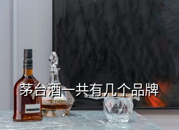 茅臺酒一共有幾個(gè)品牌