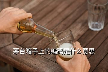 茅臺(tái)箱子上的編碼是什么意思