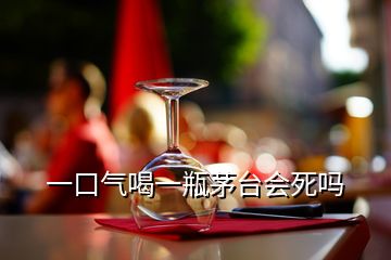 一口氣喝一瓶茅臺會死嗎