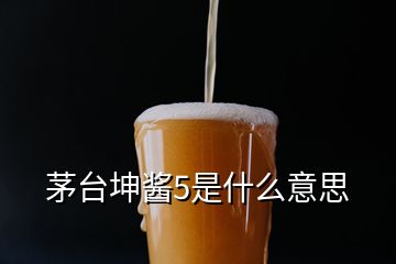 茅臺(tái)坤醬5是什么意思