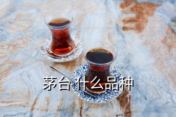 茅臺 什么品種