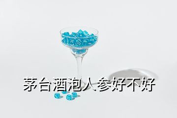 茅臺(tái)酒泡人參好不好