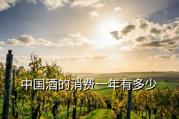 中國(guó)酒的消費(fèi)一年有多少