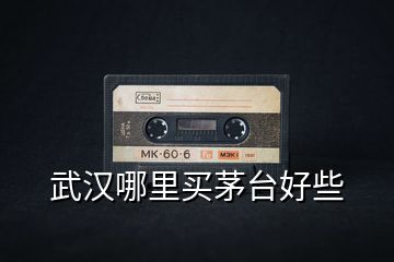 武漢哪里買茅臺好些