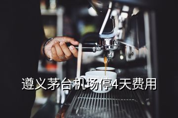 遵義茅臺機(jī)場停4天費用