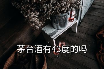 茅臺(tái)酒有43度的嗎