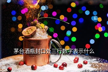 茅臺酒瓶封口處三行數字表示什么