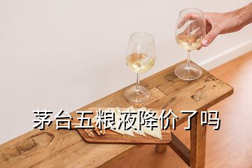 茅臺(tái)五糧液降價(jià)了嗎