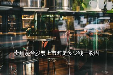 貴州茅臺股票上市時是多少錢一股啊