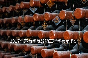 2017年茅臺學院釀酒工程學費是多少