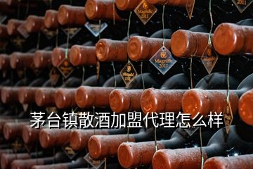 茅臺鎮(zhèn)散酒加盟代理怎么樣