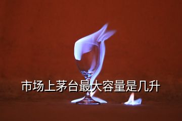 市場(chǎng)上茅臺(tái)最大容量是幾升