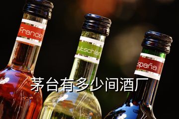 茅臺(tái)有多少間酒廠