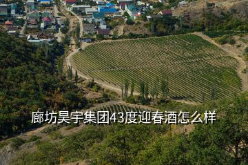 廊坊昊宇集團(tuán)43度迎春酒怎么樣