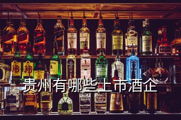 貴州有哪些上市酒企