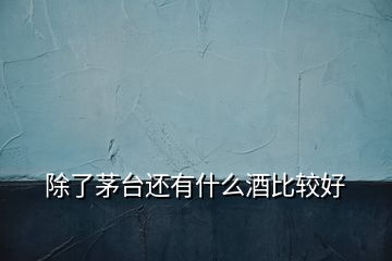 除了茅臺還有什么酒比較好