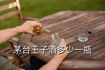 茅臺(tái)王子酒多少一瓶