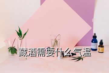 藏酒需要什么氣溫