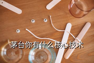 茅臺你有什么核心技術(shù)