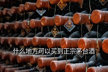 什么地方可以買(mǎi)到正宗茅臺(tái)酒