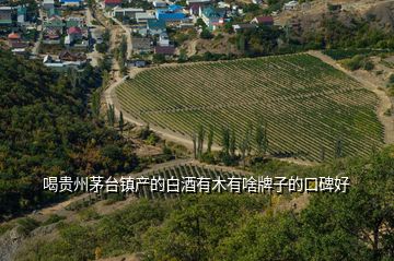 喝貴州茅臺鎮(zhèn)產(chǎn)的白酒有木有啥牌子的口碑好