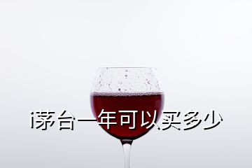 i茅臺一年可以買多少