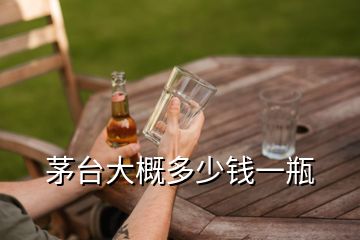 茅臺大概多少錢一瓶