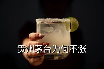 貴州茅臺為何不漲